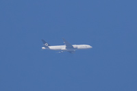 N78017
